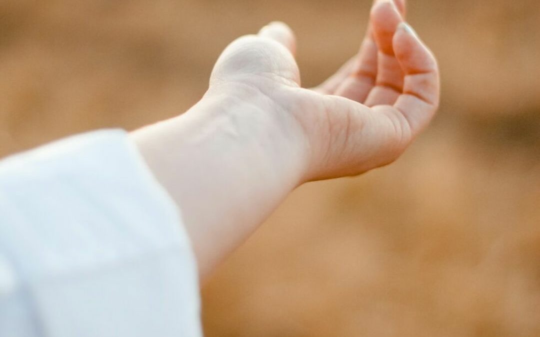 La Confiance :  La clé entre l’accompagné et son thérapeute