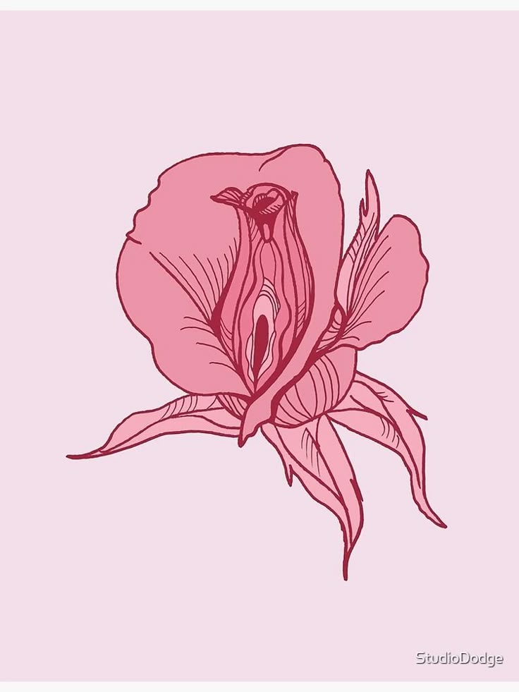 fleur